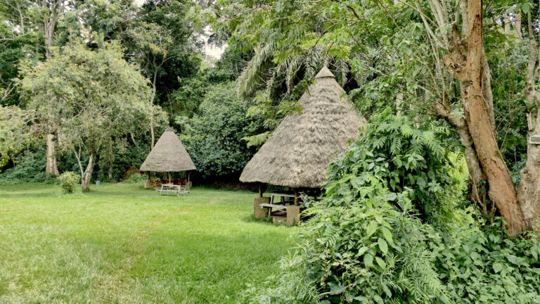 Adventure and Learning at Mpanga Central Forest Reserve